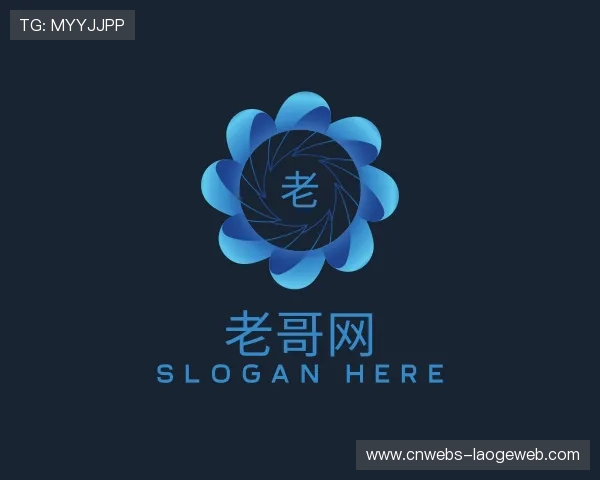 解读老哥网子公司